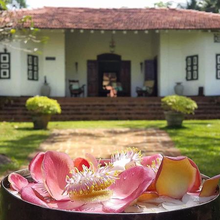 Templeberg Bed & Breakfast Walahanduwa Екстериор снимка