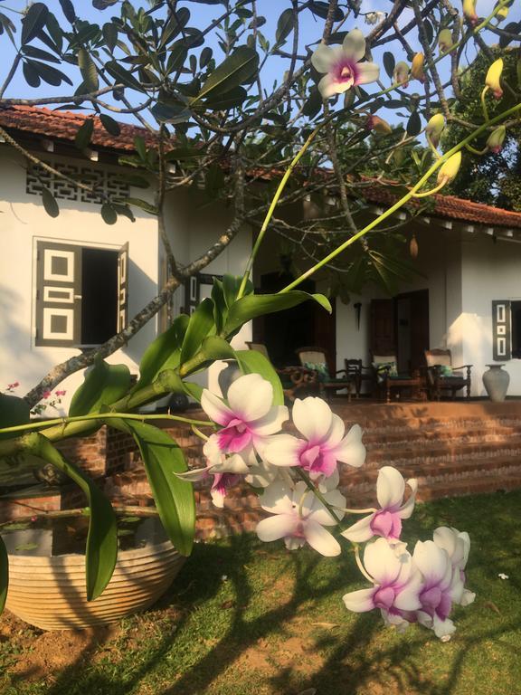 Templeberg Bed & Breakfast Walahanduwa Екстериор снимка