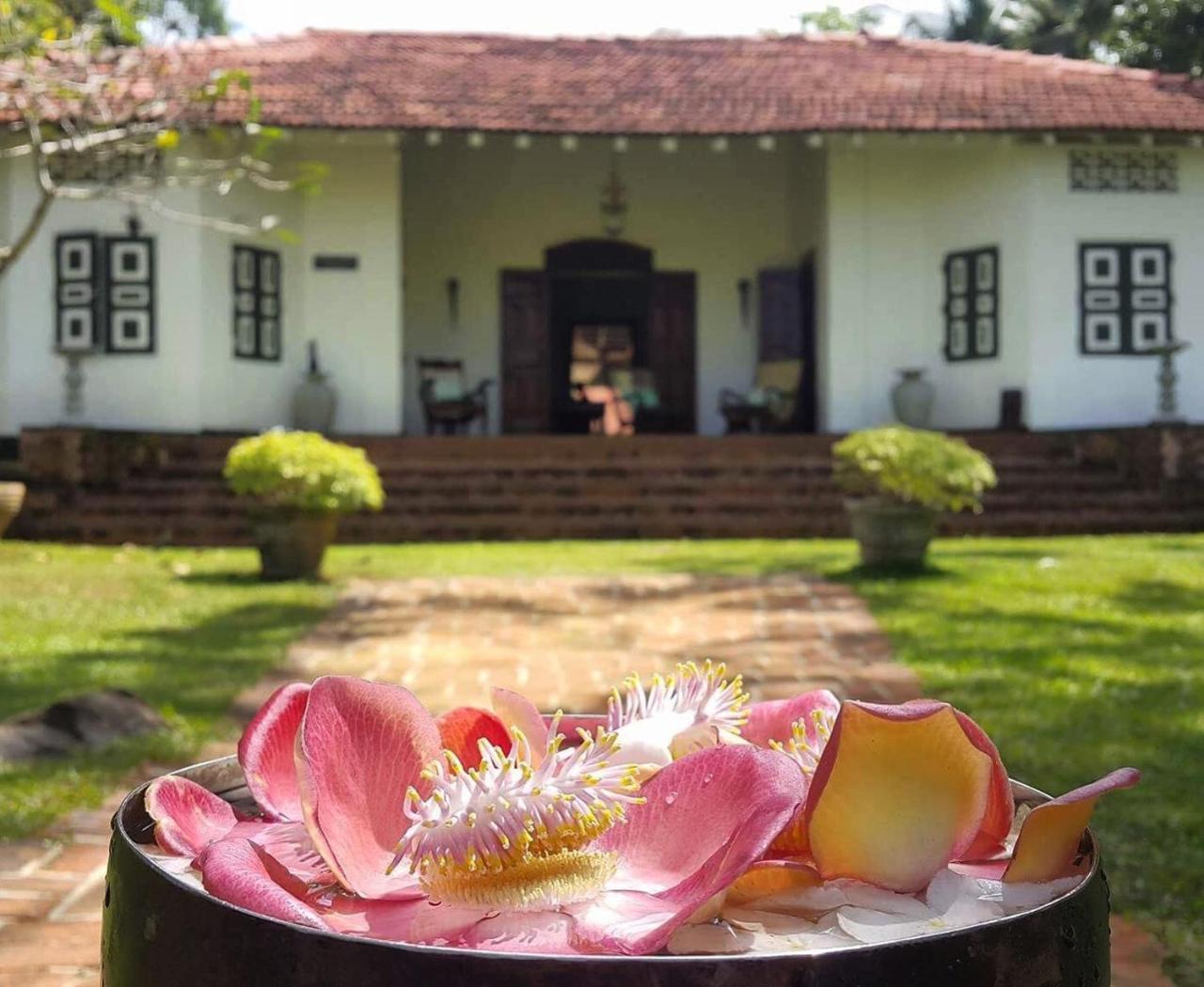 Templeberg Bed & Breakfast Walahanduwa Екстериор снимка